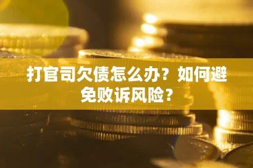 北京打官司欠债怎么办？如何避免败诉风险？