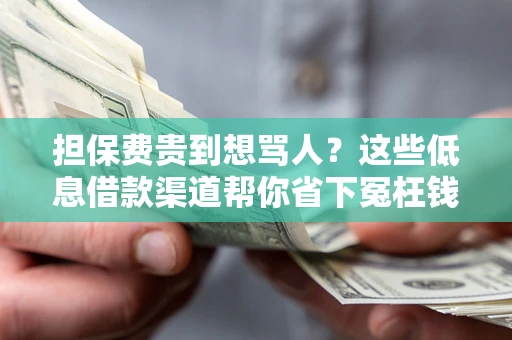 北京担保费贵到想骂人？这些低息借款渠道帮你省下冤枉钱