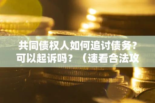 北京共同债权人如何追讨债务？可以起诉吗？（速看合法攻略）