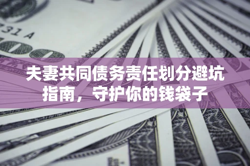 北京夫妻共同债务责任划分避坑指南，守护你的钱袋子