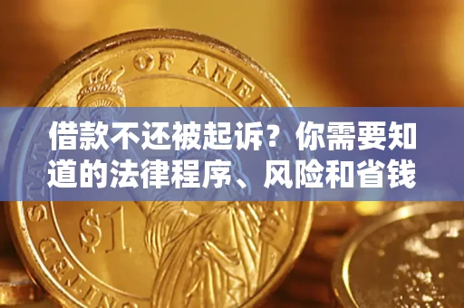 北京借款不还被起诉？你需要知道的法律程序、风险和省钱技巧